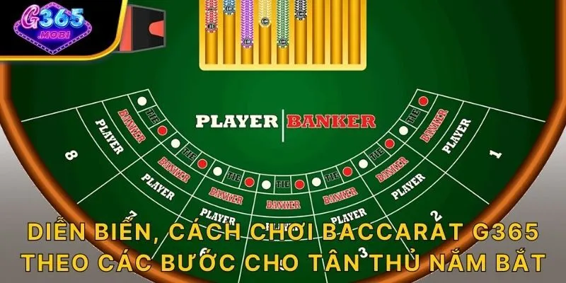 Diễn biến, cách chơi Baccarat G365 theo các bước cho tân thủ nắm bắt