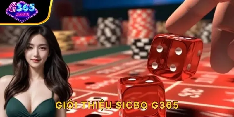 Giới thiệu Sicbo G365