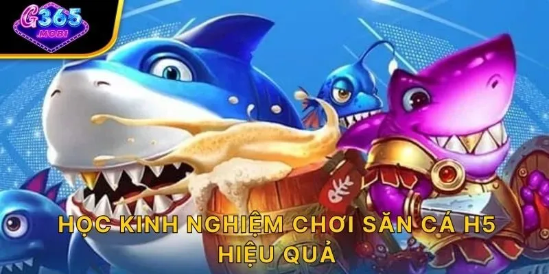 Học kinh nghiệm chơi săn cá H5 hiệu quả