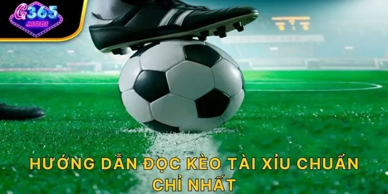 Hướng dẫn đọc kèo tài xỉu chuẩn chỉ nhất