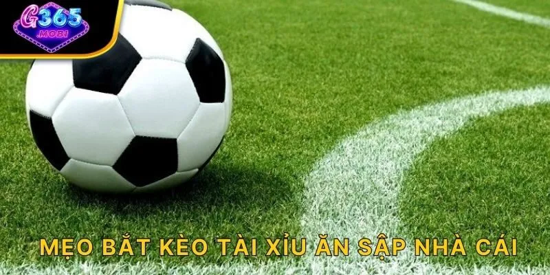 Mẹo bắt kèo tài xỉu ăn sập nhà cái