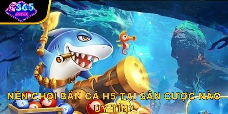Nên chơi bắn cá H5 tại sân cược nào uy tín?