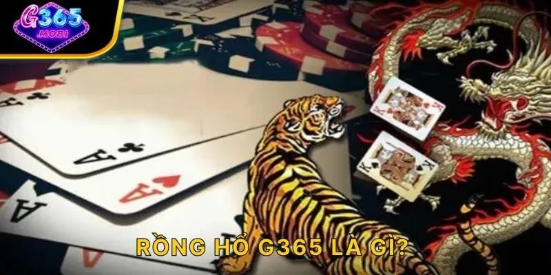 Rồng hổ G365 là gì?