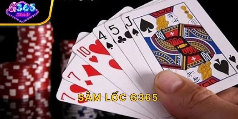 Sâm Lốc G365