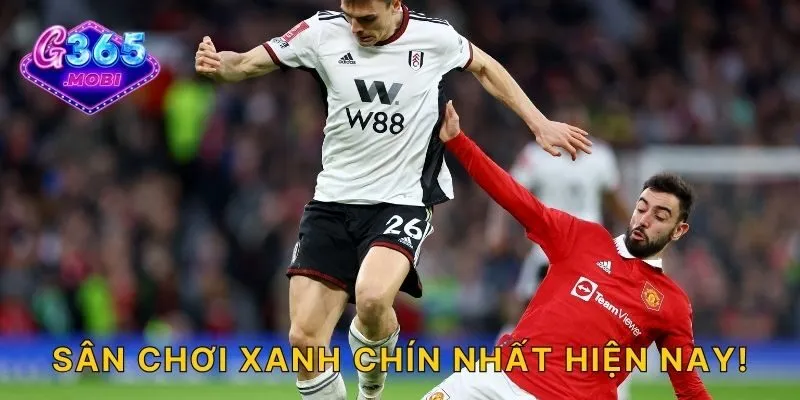Sân chơi xanh chín nhất hiện nay!